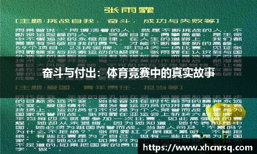 熊猫体育官网