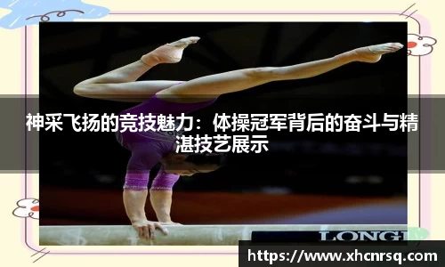 熊猫体育官网